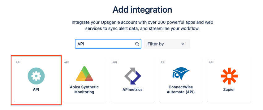 Copied API key to the field at update-available.com